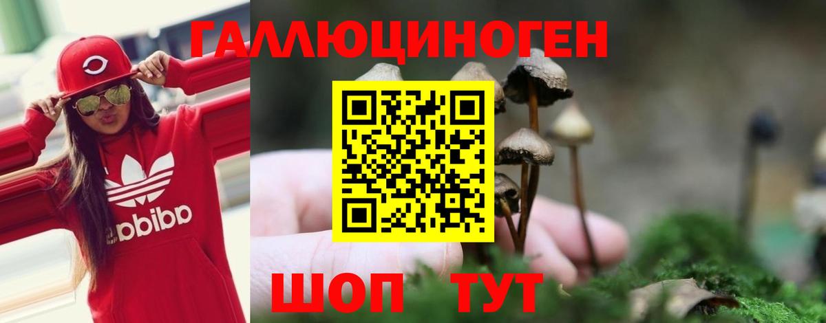 Псилоцибиновые грибы Magic Shrooms  Вход с VPN  Красногорск 